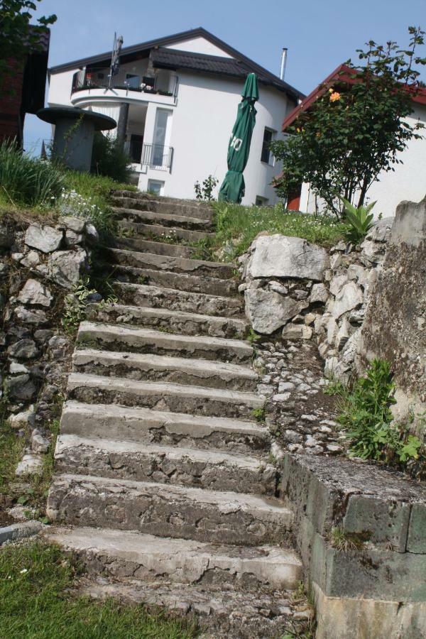 Lgp Exclusive Bihać